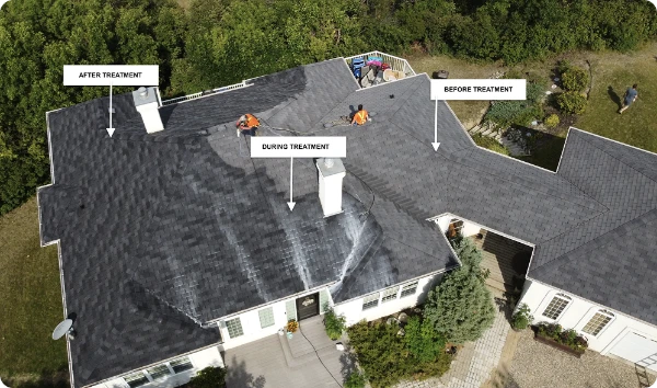 Aerial view of a house roof in St Louis being cleaned by STL Roof Renew, with labels showing sections before, during, and after roof rejuvenation, highlighting the difference in appearance. Lush trees surround the home.