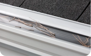 Close-up of a house roof gutter with a mesh guard, partially covered by pine needles, under black asphalt shingles. STL Roof Renew's gutter protector helps prevent debris from clogging the gutter in St Louis homes.