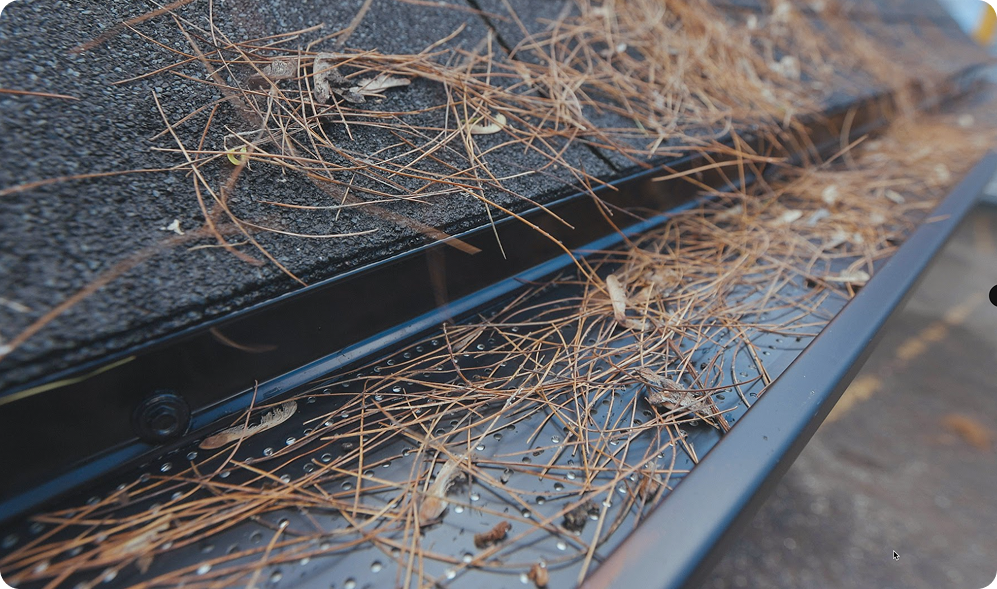 A close up of a gutter showcases the impact of weather in St Louis, highlighting the importance of STL Roof Renew and roof rejuvenation services.