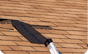 A tool is being used to lift and remove a damaged asphalt shingle from a tan shingle roof in St Louis, indicating roof repair or maintenance work, possibly as part of a Roof Rejuvenation by STL Roof Renew.
